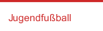 Jugendfußball